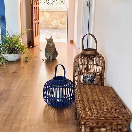 Sailor Apartment Sea Views Tossa de Mar Exterior foto