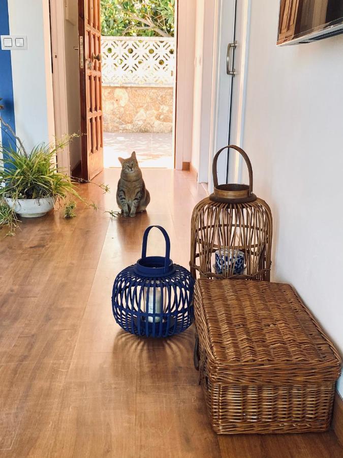 Appartement Sailor Sea Views *